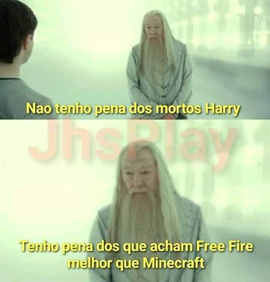 Harry Potter Brasil Memes