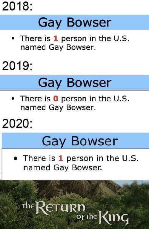 Gay Bowser - meme