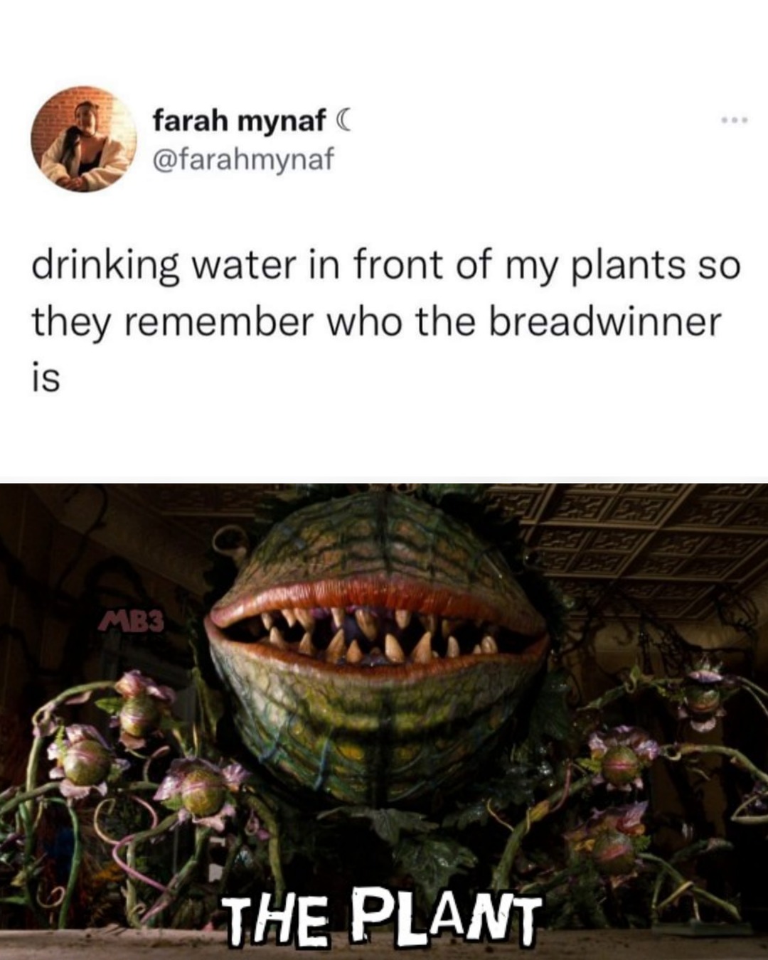 The Plant - meme