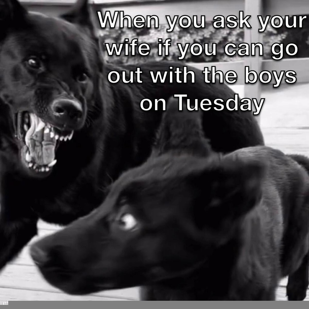Tuesday meme - Meme by DraconianMelon :) Memedroid