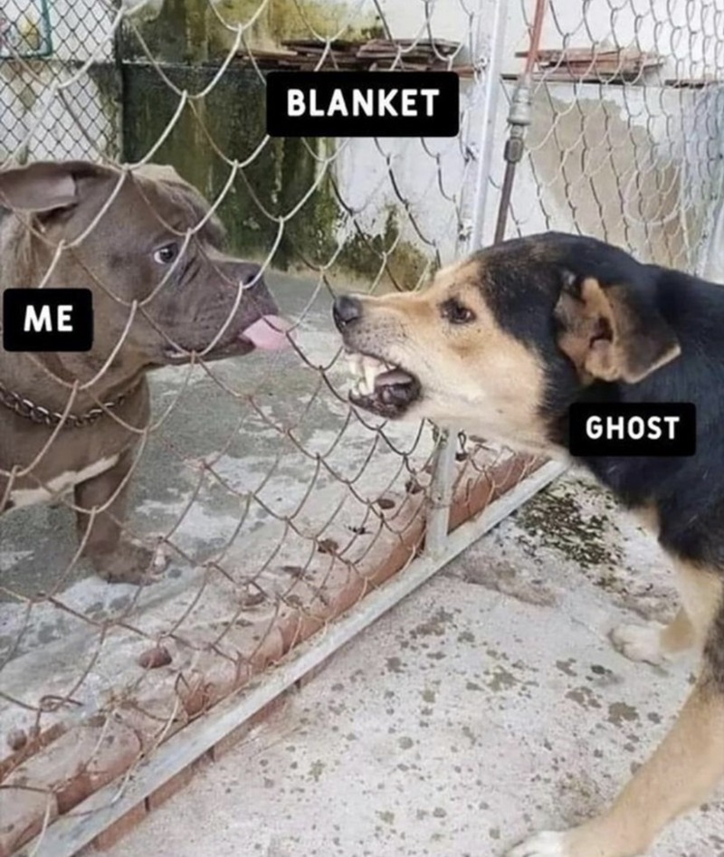 Can't get me you spooky ghost - meme