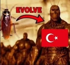 Turkey - meme