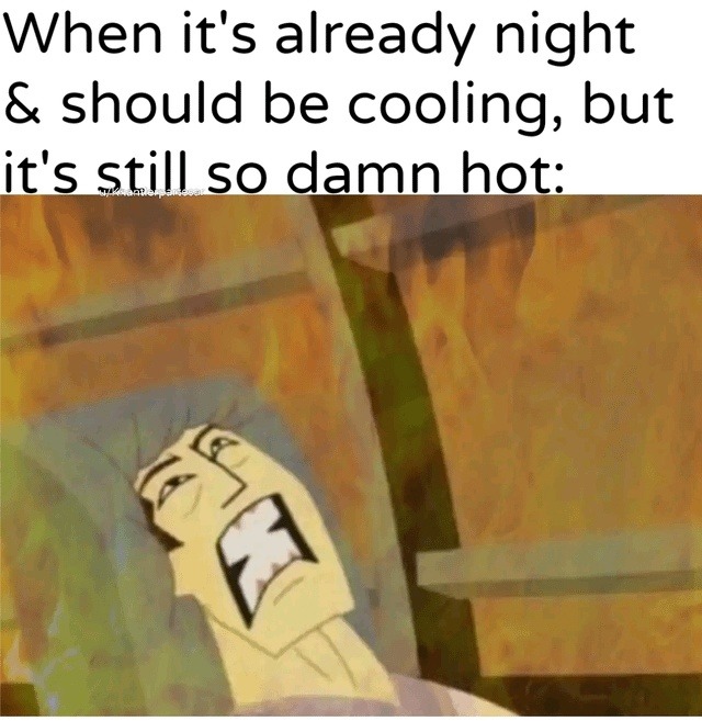 night said chill, but the heat said fight me - meme