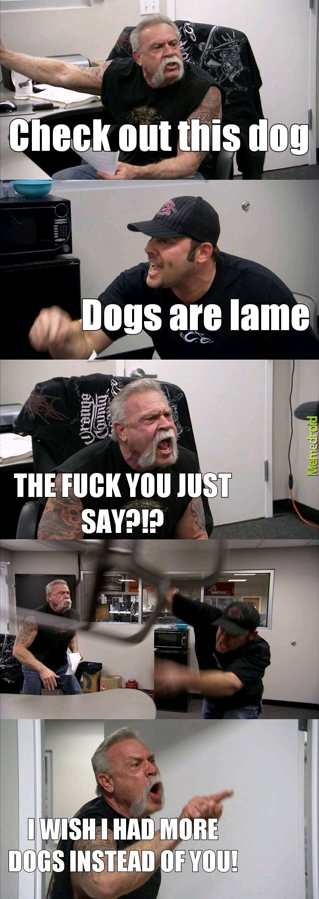 Doggos da best - meme