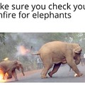 Beware of elephants