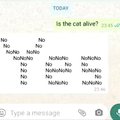 Is the cat dead?
