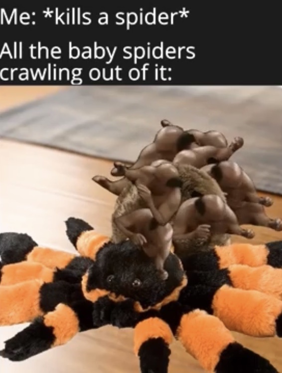 what would a Danny Devito spider look like - meme