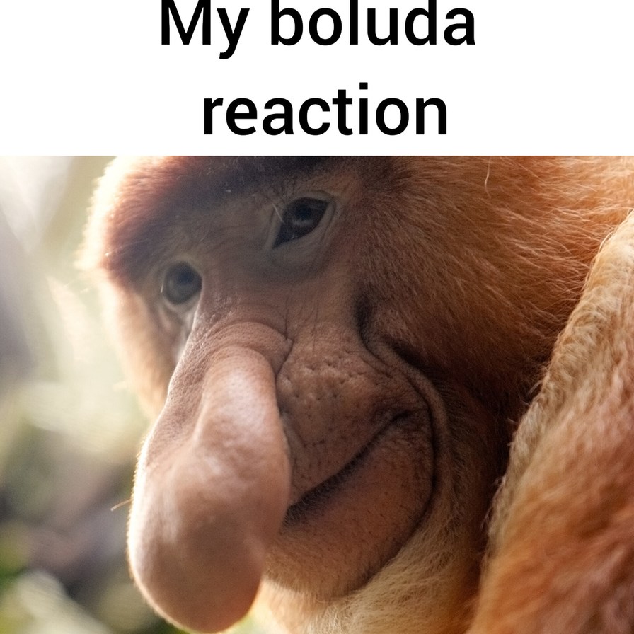 My boluda reaction - meme