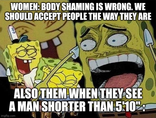 Dongs in a w*man - meme