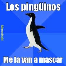 Los pingüinos me la van a mascar - meme
