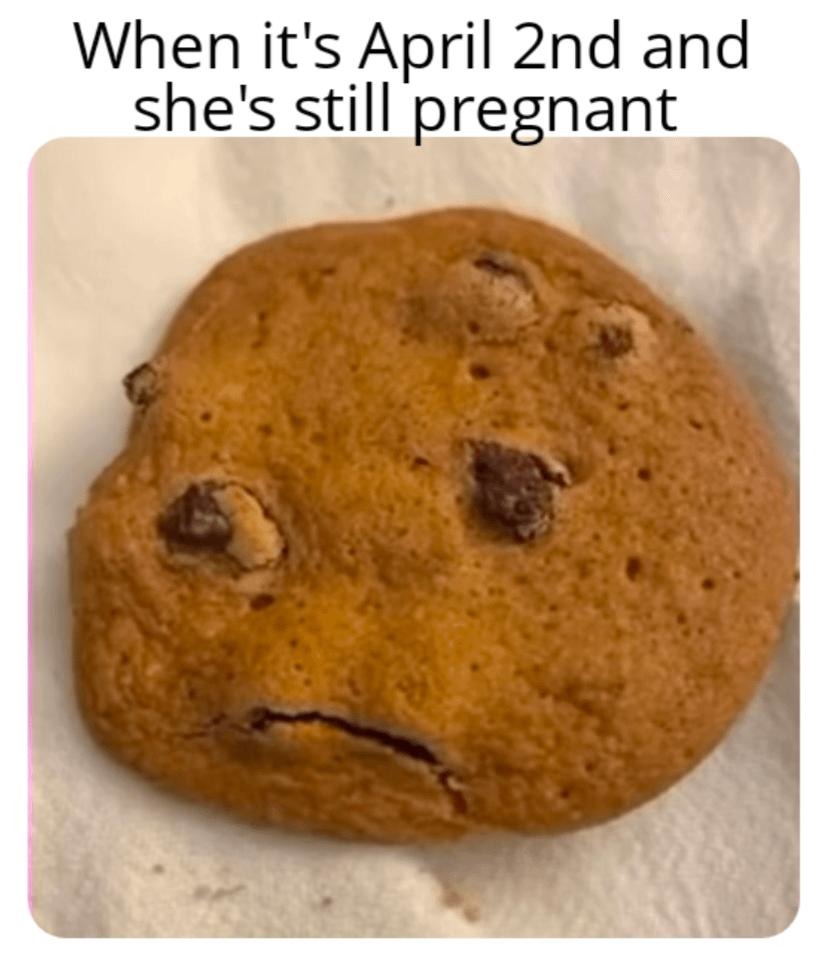 It's April 2nd and she's STILL pregnant - meme