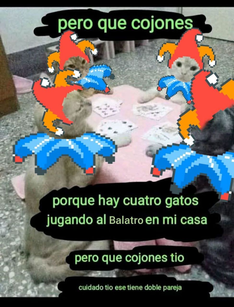 Poker felino - meme