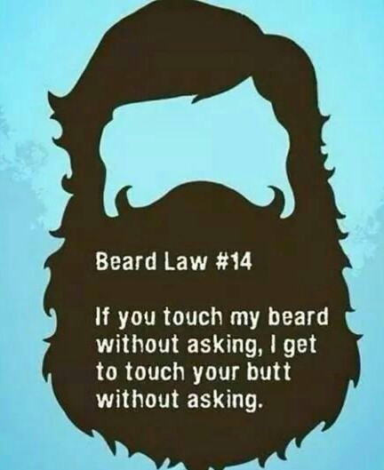 Wanna touch my beard - meme