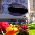 subnormales con visión