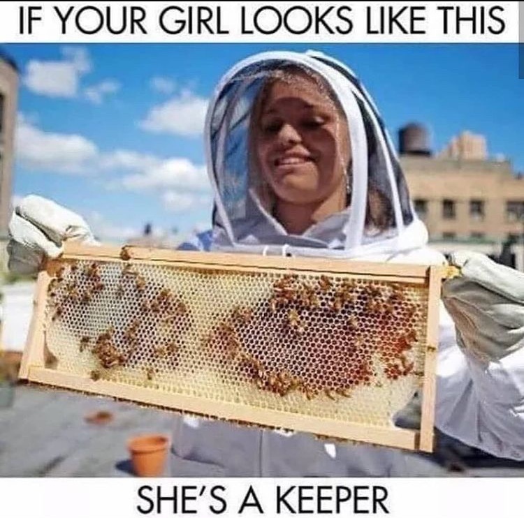 her honey is boobees - meme