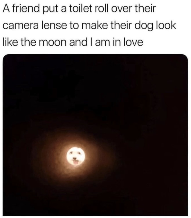 Moondog - meme