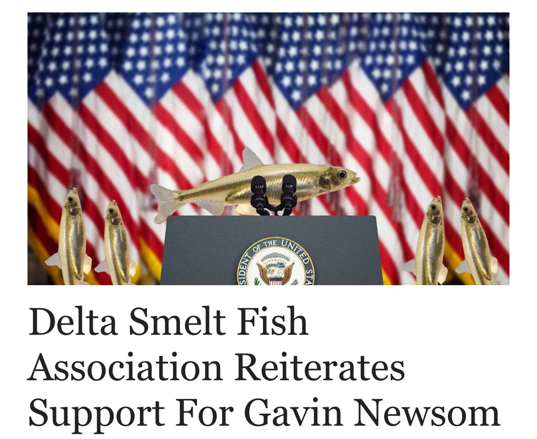 Fish lobbies are corrupt - meme