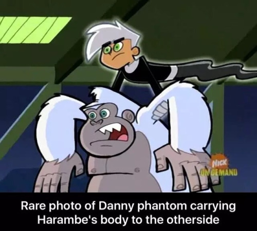 Harambe jokes arent dead, Right guys? Guys? *cricket noises*            anyway, show is Danny Phantom, I highly reccomend it - meme