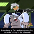 Harambe jokes arent dead, Right guys? Guys? *cricket noises*            anyway, show is Danny Phantom, I highly reccomend it