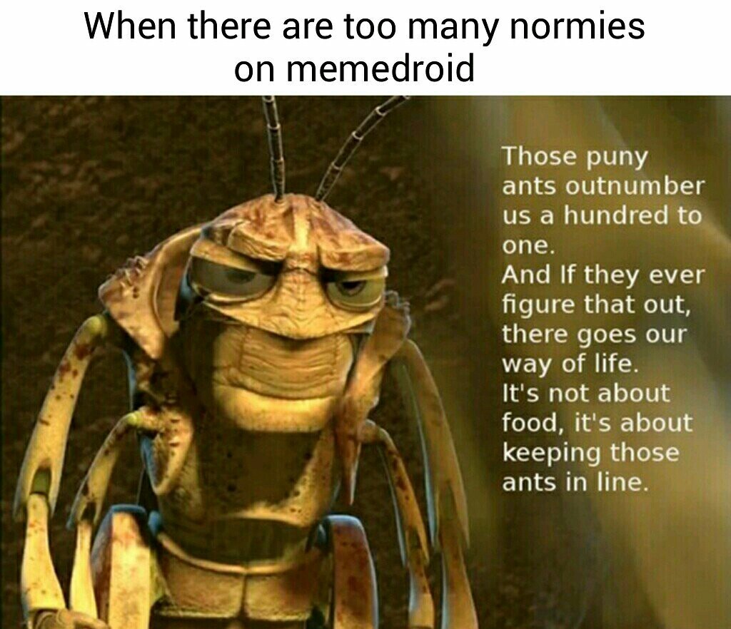 Fucking normies - meme