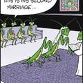 2nd marriages