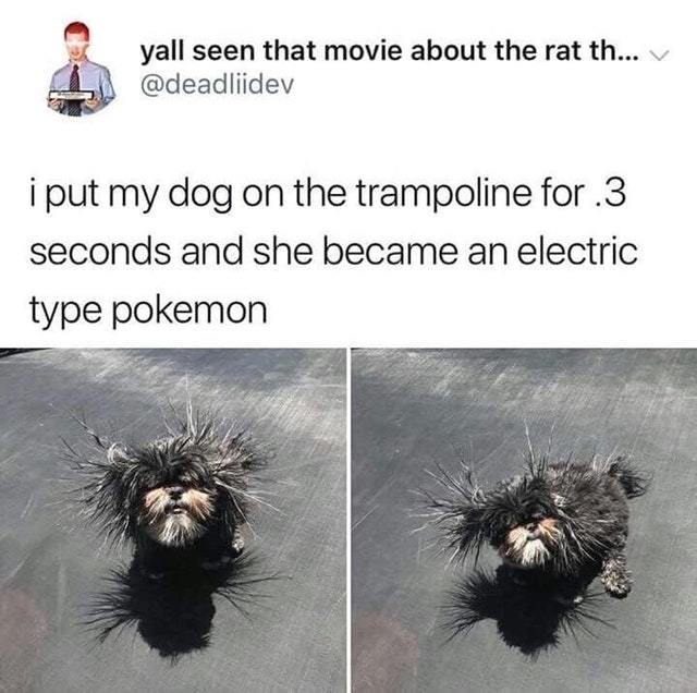Electric pokemon dog - meme