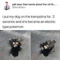 Electric pokemon dog