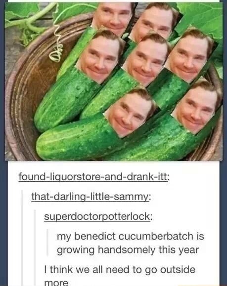 Bennidict Cumberoach - meme