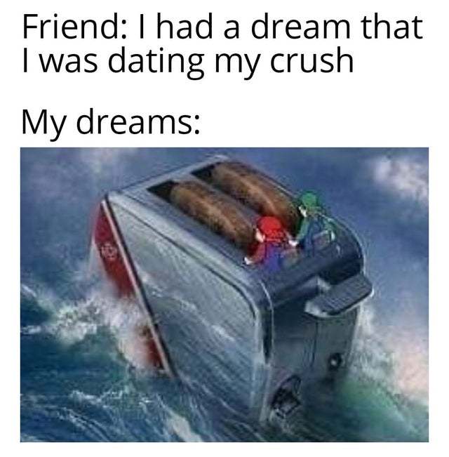 I had a dream that I was dating my crush - meme