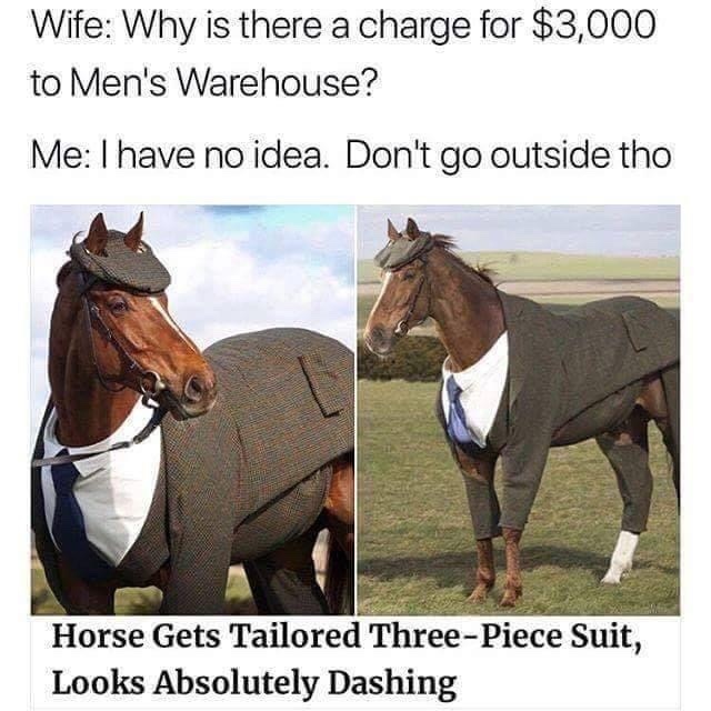 Mr. Horse - meme