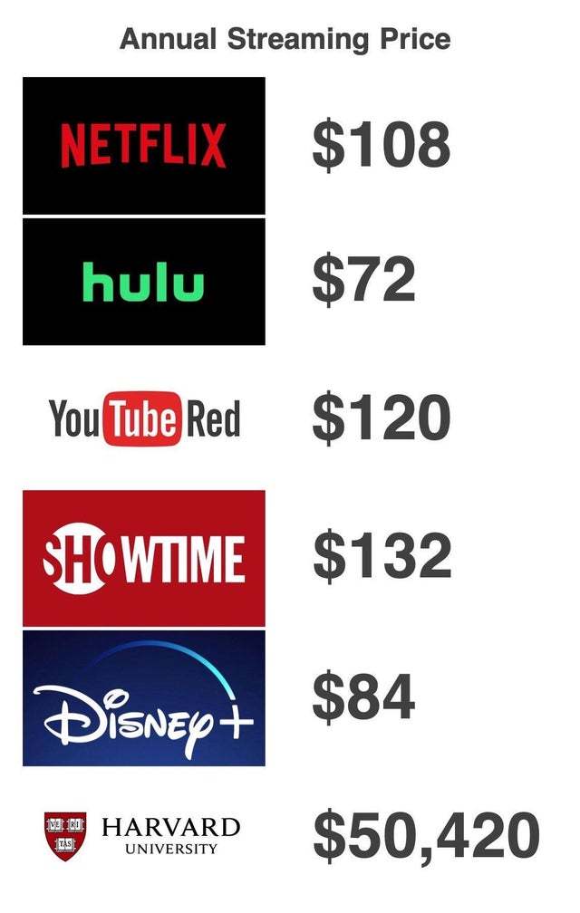 Annual streaming prices of the top platforms - meme