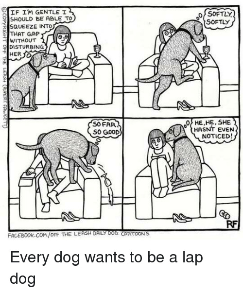 how dogs think they get into a chair with us - meme