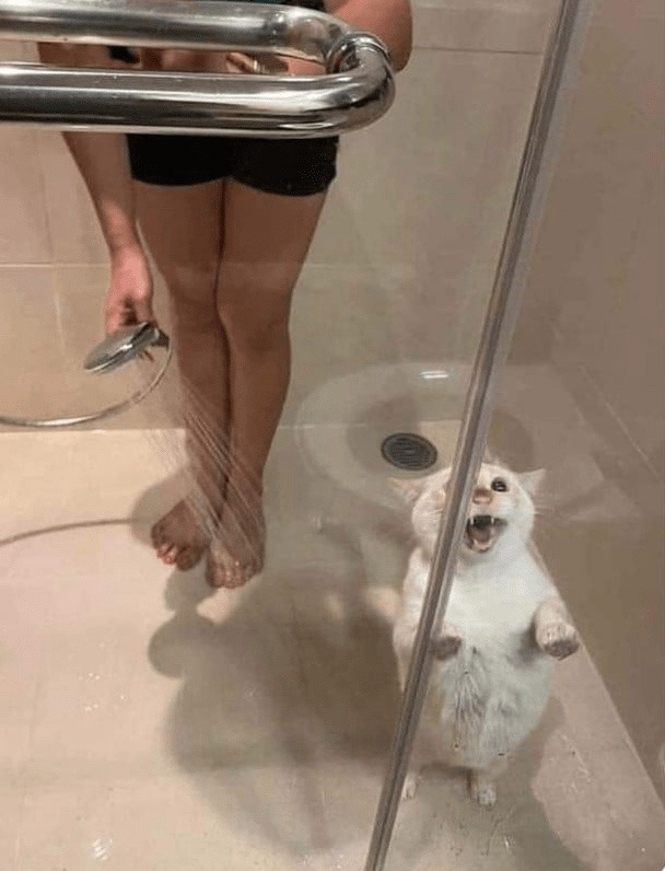 help - meme