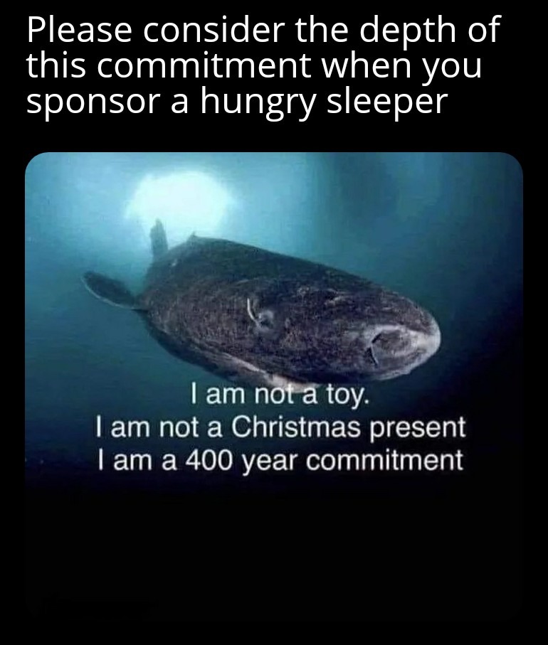Greenland sharks are no joke - meme