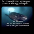 Greenland sharks are no joke