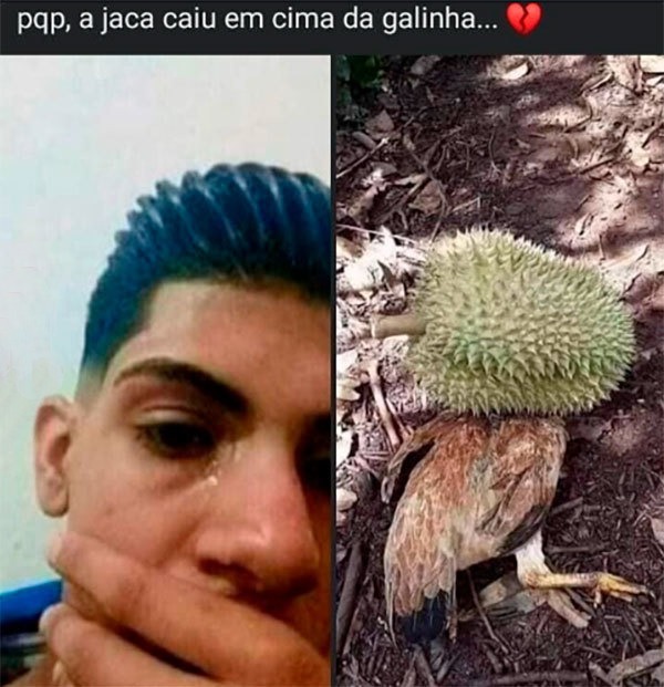 VCS DA CAPITAL NUNCA ENTENDERÃO - meme