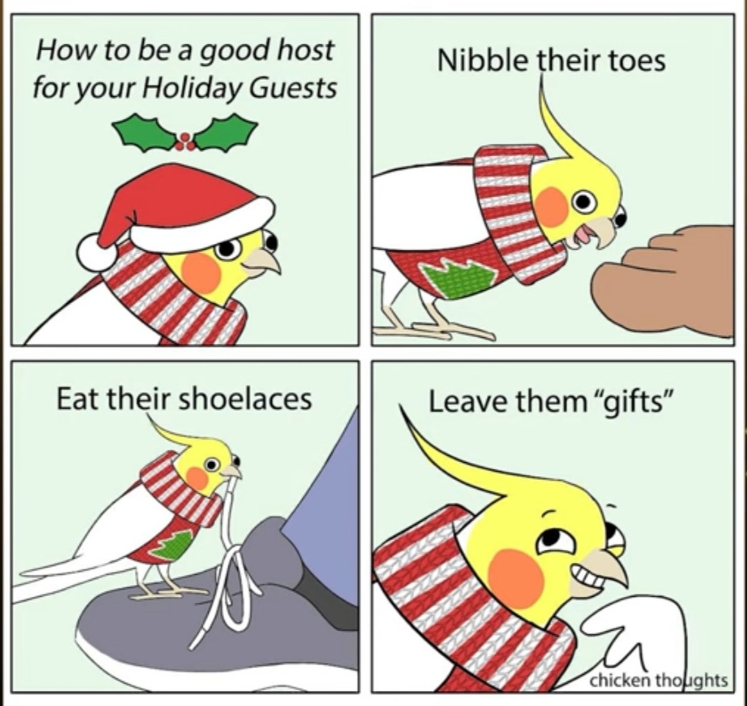 Nibble toes of couse - meme