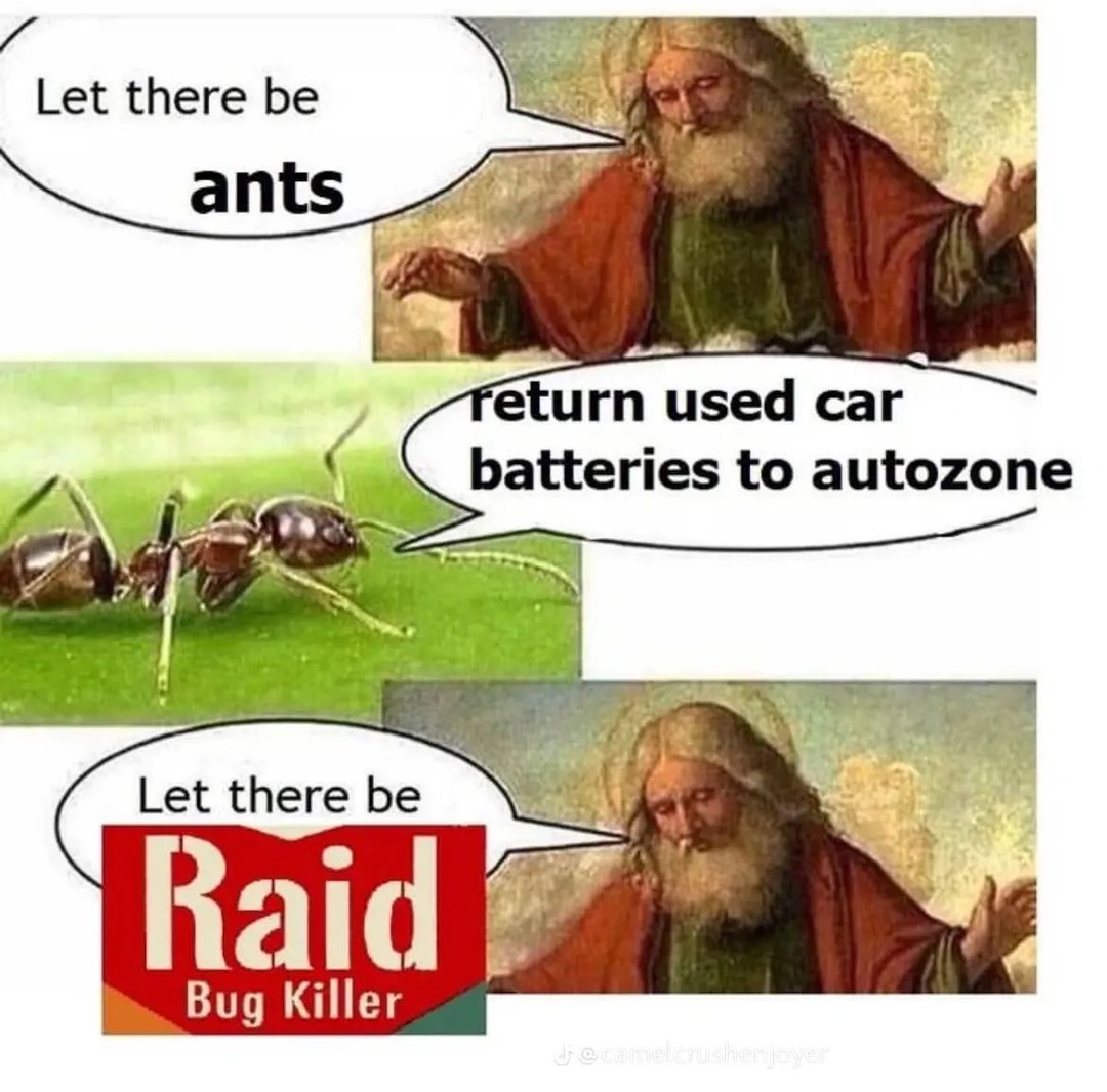 dongs in an ant - meme