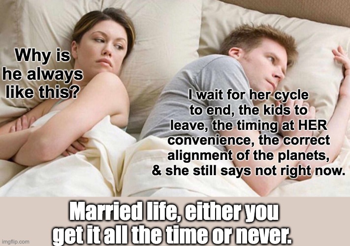 Married life - meme