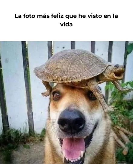 esa sonrisa no es de felicidad, es de crisis existencial - meme