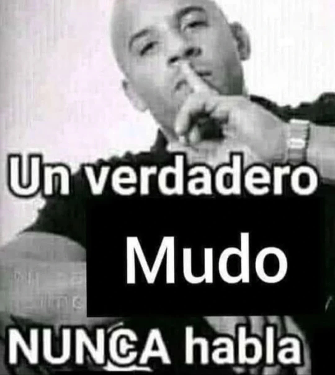 un verdadero mudo jamás spoilea - meme