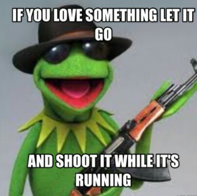 The Hardcore Kermit - meme