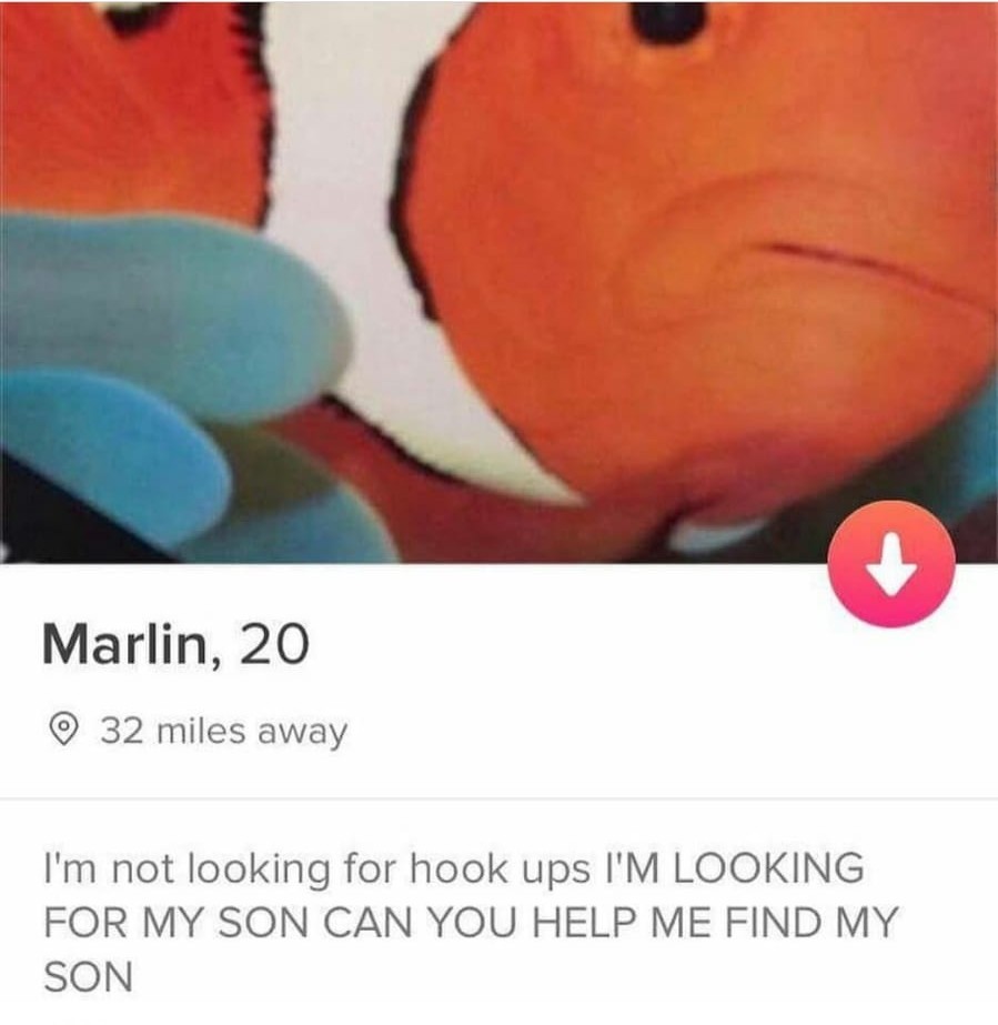 Marlin - meme