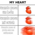 Mi heart