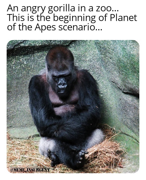 Planet of the Apes... - meme