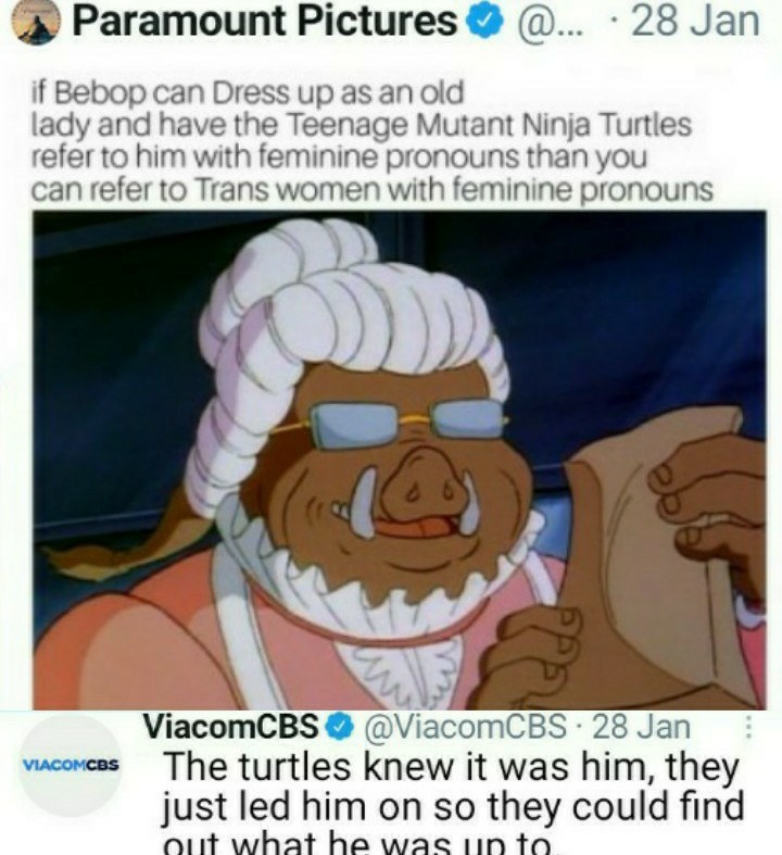 Transgender is a mental illness no one can change genders there's only 2 genders penis is Male vj is female sex is the same as gender.  Viacom owns the tmnt 2003 I think... - meme