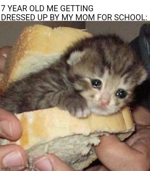 When you were dressed up by your mom for school - meme