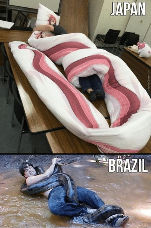 japon o brasil - meme