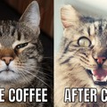 Before and after coffee!crazyyy!!!!