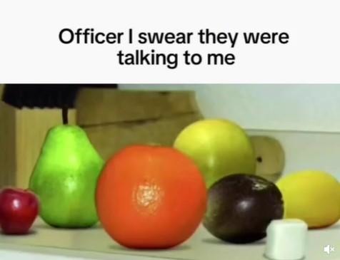Officer I swear they were talking to me meme